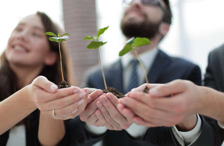 close up.young shoots in the hands of young businessmenの写真素材