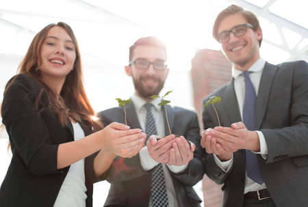 business team looks at the fresh sproutsの写真素材