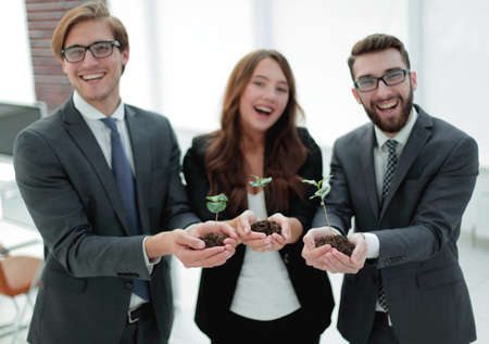 three colleagues look at the young shootsの写真素材