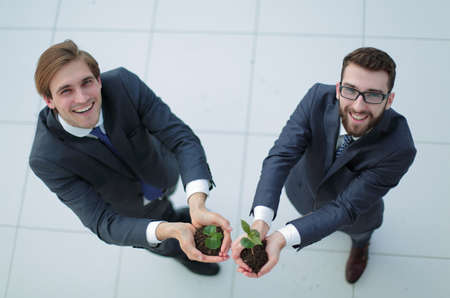 top view.two smiling businessmen with green sproutの写真素材