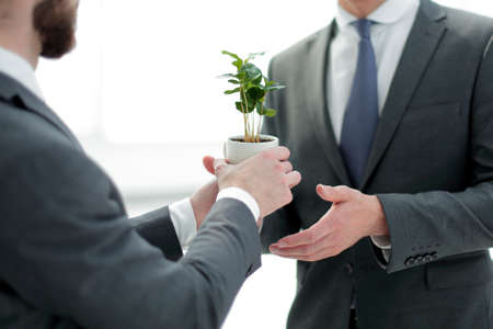 business partners are holding a young seedlingの写真素材