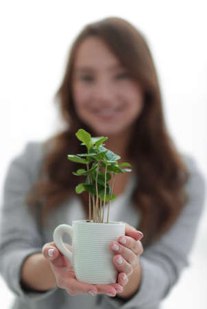 close up.a womans business shows you a saplingの写真素材