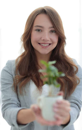 close up.a womans business shows you a saplingの写真素材