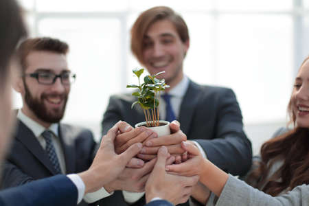 business team shows young sprouts of treesの写真素材