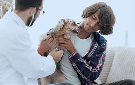 Loving owner with a Yorkshire terrier in the office of a veterinarianの写真素材