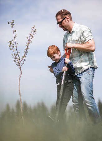 father and little son planted a seedling.の写真素材