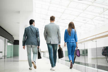 rear view.the business team are walking together
