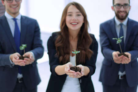 three colleagues show young sproutsの写真素材