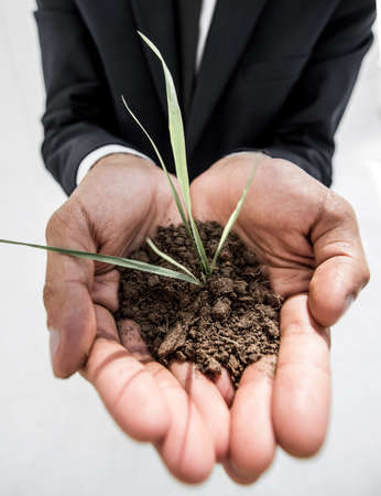 holding a plant isolated on a white background