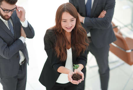 young business team with fresh sproutsの写真素材