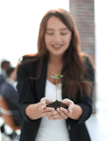 close up. business woman holding a fresh sproutの写真素材