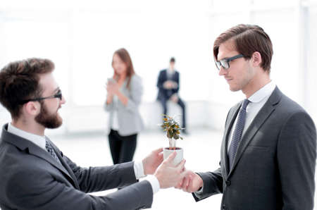 businessman gives his partner a young seedling