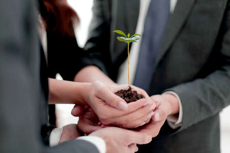 close up.Male and female business partners nurturing a new plantの写真素材