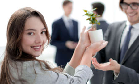 seedling in the hands of a business womanの写真素材