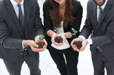 three colleagues hold young shootsの写真素材