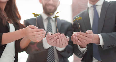 business team looks at the fresh sprouts