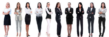 panoramic collage of a group of successful young business women.の写真素材
