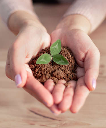 Sustaining green business company trust ecology partners