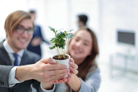 seedling in the hands of young business peopleの写真素材