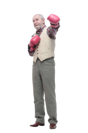 confident older man in Boxing gloves. isolated on a whiteの写真素材