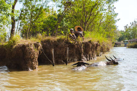 Inle Lake, Myanmar: FEB 25, 2014: Intha people, man and child working on the floating garden in Inle Lakeのeditorial素材