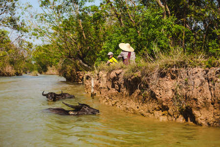Inle Lake, Myanmar: FEB 25, 2014: Intha people, man and child working on the floating garden in Inle Lakeのeditorial素材