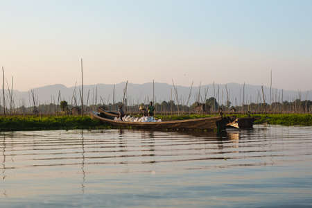 Inle Lake, Myanmar - FEB 25, 2014: Intha people work on floating garden on Inle Lake, Myanmarのeditorial素材