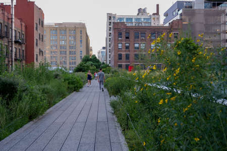 New York NY - USA - Jul 24 2019: The High Line Park in New York with locals and tourists. The High Line is a popular linear park built on the elevated train tracks above Tenth Ave in New York Cityのeditorial素材
