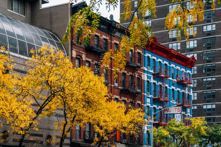 New York City - USA - Oct 30 2019: Fall foliage color of Upper East Side in Manhattanのeditorial素材