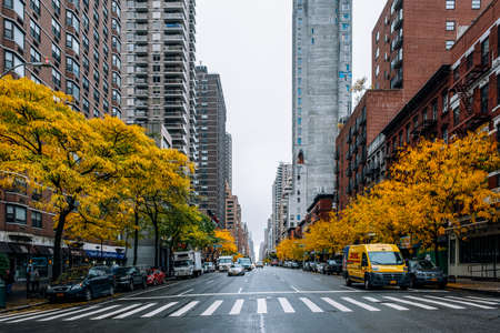 New York City - USA - Oct 30 2019: Fall foliage color of Upper East Side in Manhattanのeditorial素材