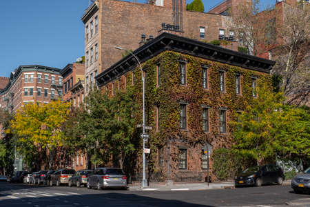 New York City - USA - Oct 23 2019: Fall foliage color of Greenwich Village in Lower Manhattan