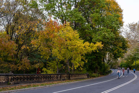 New York City - USA - Oct 25 2019: Fall foliage color of Central Park in Manhattanのeditorial素材