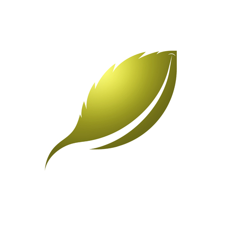 leaf logo template with golden yellow.のイラスト素材