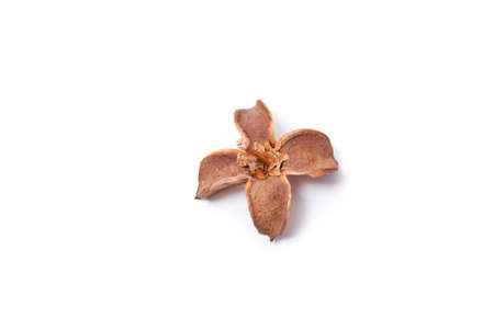 Potpourri wallpaper on white backgroundの写真素材