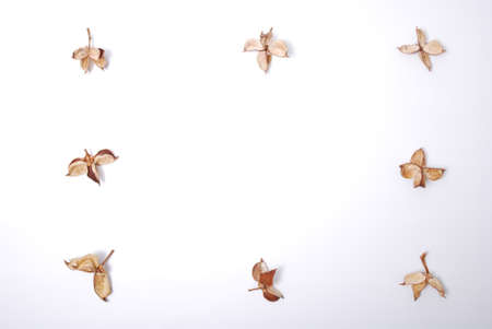 Potpourri wallpaper on white backgroundの写真素材