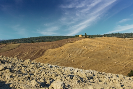 A typical landscape of tuscan countryside in a bright, sunny day