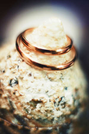 two wedding rings on the top of the shellの写真素材