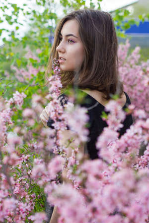 portrait of young beautiful girl in flowersの写真素材