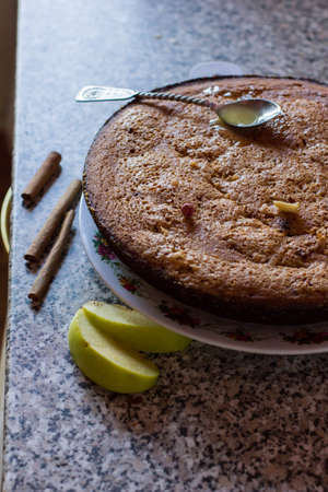 a plate of delicious-looking pie from cocoa and cinnamon