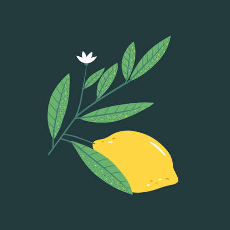 Modern illustration with lemon.のイラスト素材