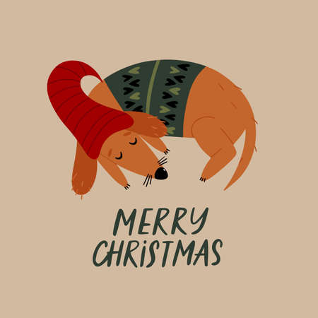 Vector illustration with sleeping dachshund. Christmas greeting card.のイラスト素材