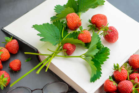 Sweet cold soup made of strawberries and organic vegan milkの写真素材