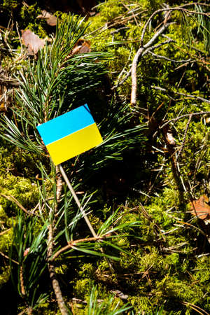 Small flag of Ukraine, made of paper in the forest, close upの写真素材