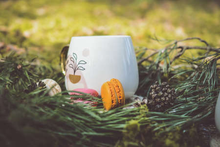 Colorful and sweet cookies , vintage cup and decorations in the forestの写真素材