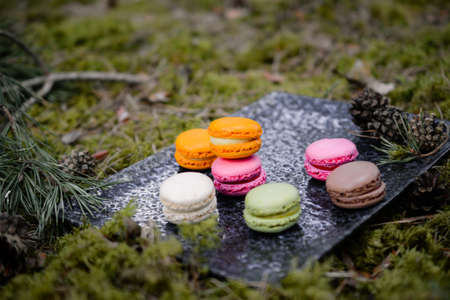 Colorful and sweet macaroon cookies, picnic in the forestの写真素材