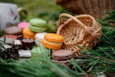 Colorful and sweet macaroon cookies, picnic in the forestの写真素材