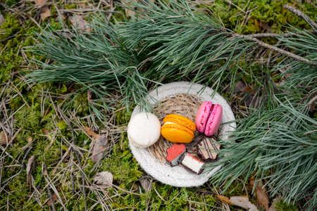 Colorful and sweet macaroon cookies, picnic in the forestの写真素材