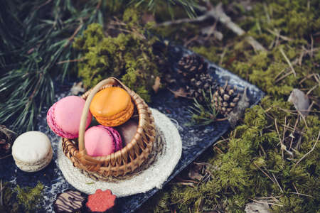 Colorful and sweet macaroon cookies, picnic in the forestの写真素材