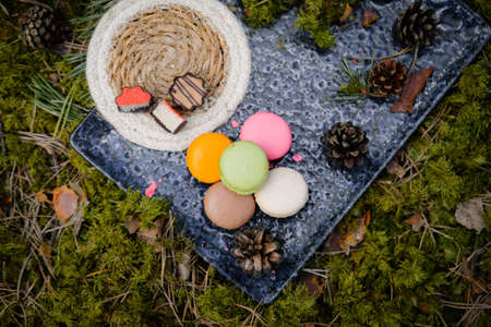 Colorful and sweet macaroon cookies, picnic in the forestの写真素材