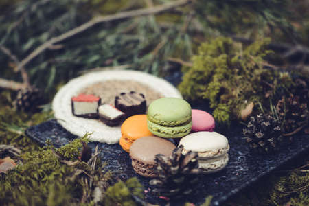 Colorful and sweet macaroon cookies, picnic in the forestの写真素材